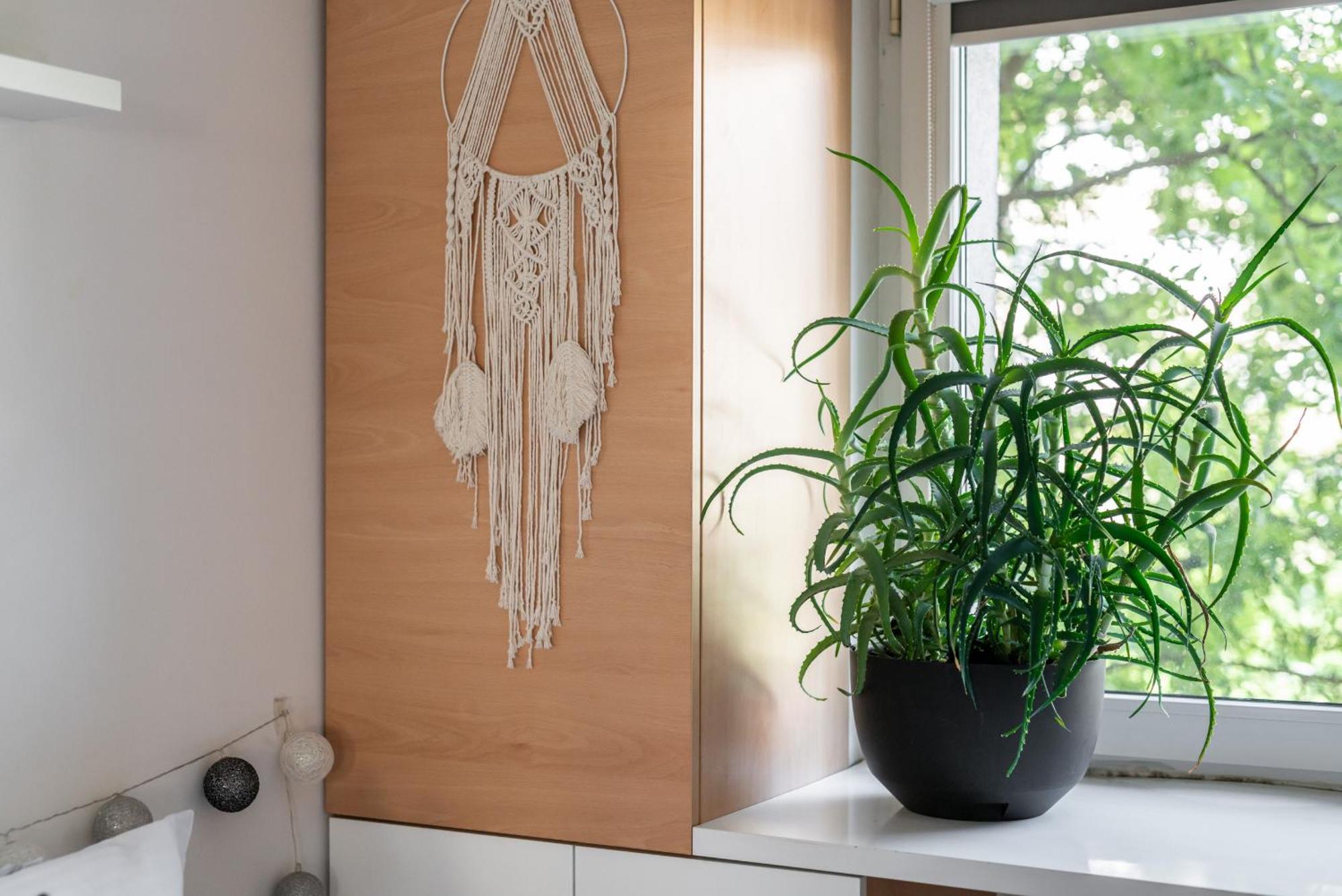 Nature & By Renters *